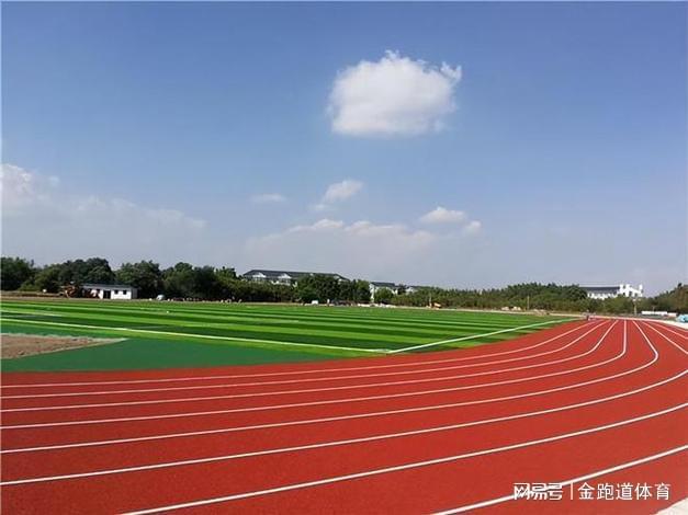 B体育：透气型塑胶跑道：适用范围广泛为运动保驾护航(图5)