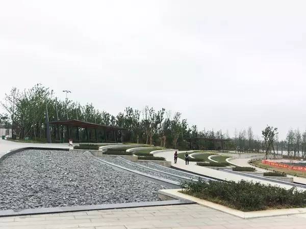 明天起阜阳人将富得流油！(图6)