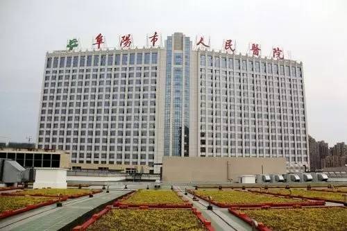 明天起阜阳人将富得流油！(图9)