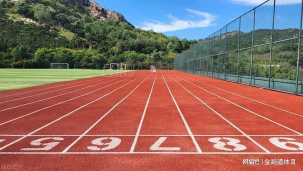 透气型塑胶跑道：为运动注入活力与舒适(图4)