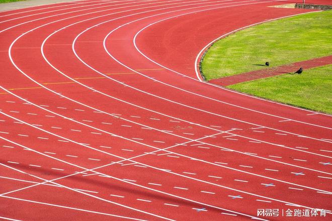 透气型塑胶跑道：为运动注入活力与舒适(图6)